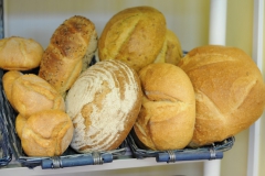 pane biologico fresco ogni giorno bioemozioni negozio montebelluna